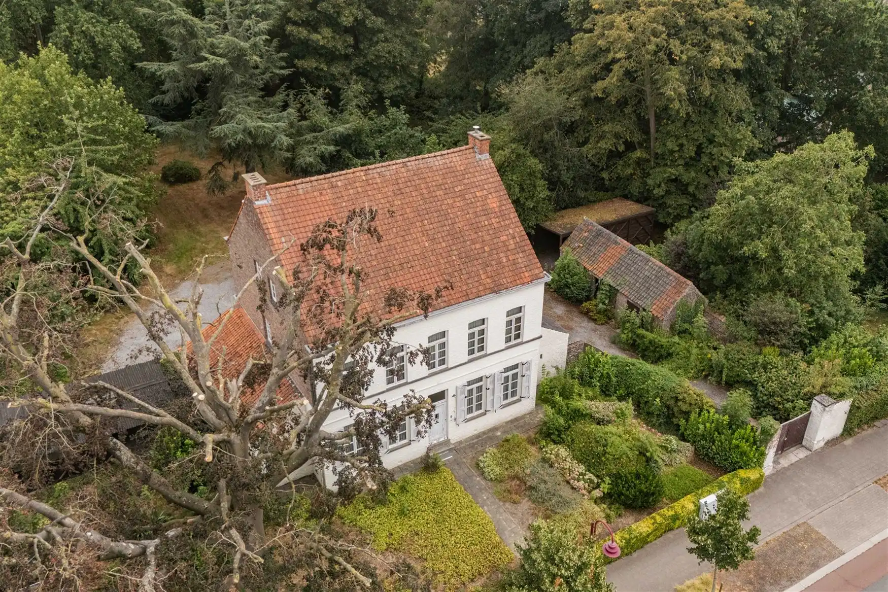 Historische pastorijwoning op een domein van 4.333 m² foto 13