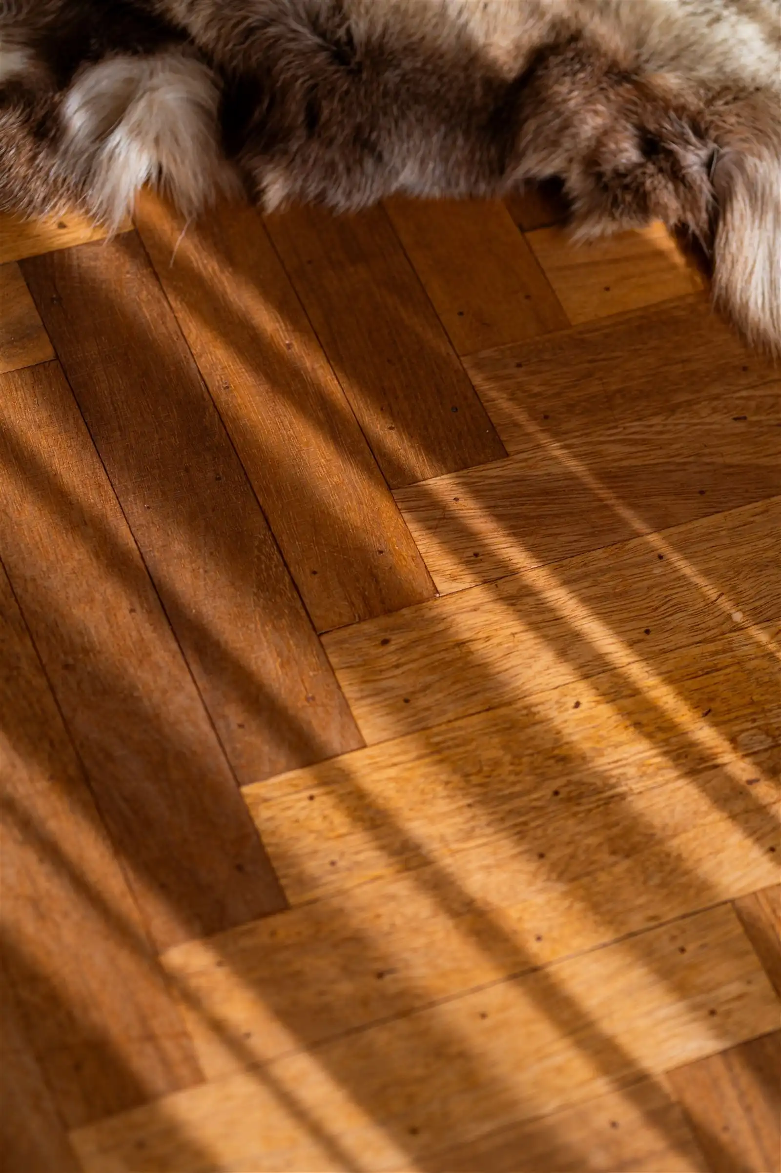 Exclusief appartement in Sint-Denijs-Westrem&nbsp; foto 16