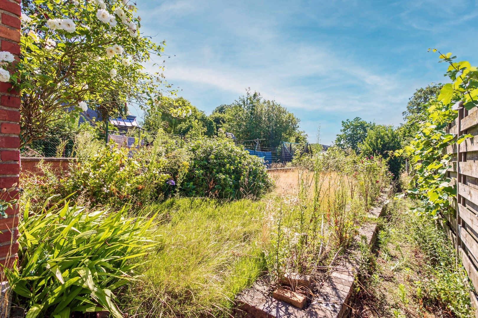 Te renoveren 3-gevelwoning met 3 slaapkamers en tuin foto 12