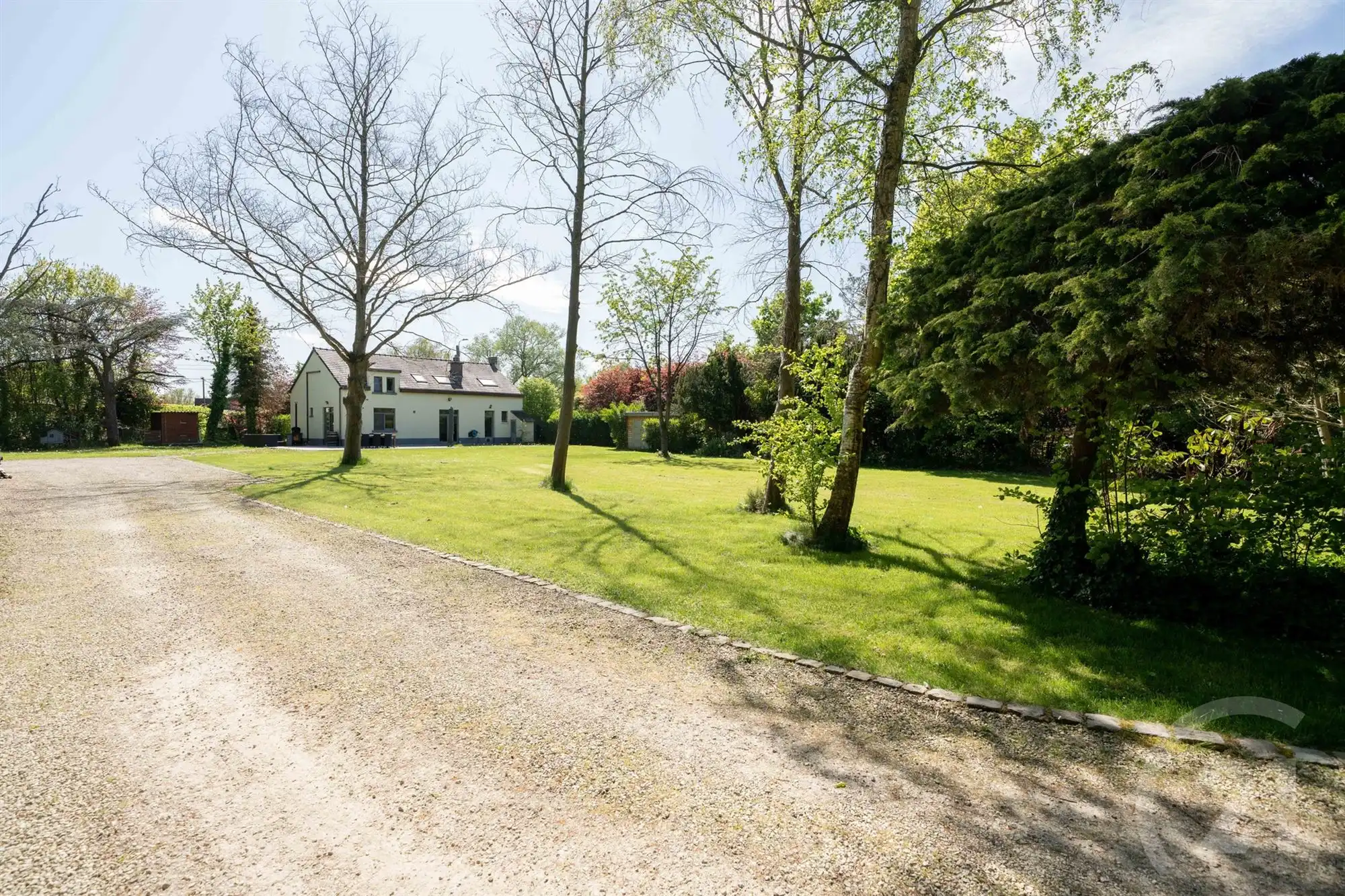Landelijke woning op een prachtig perceel! foto 2