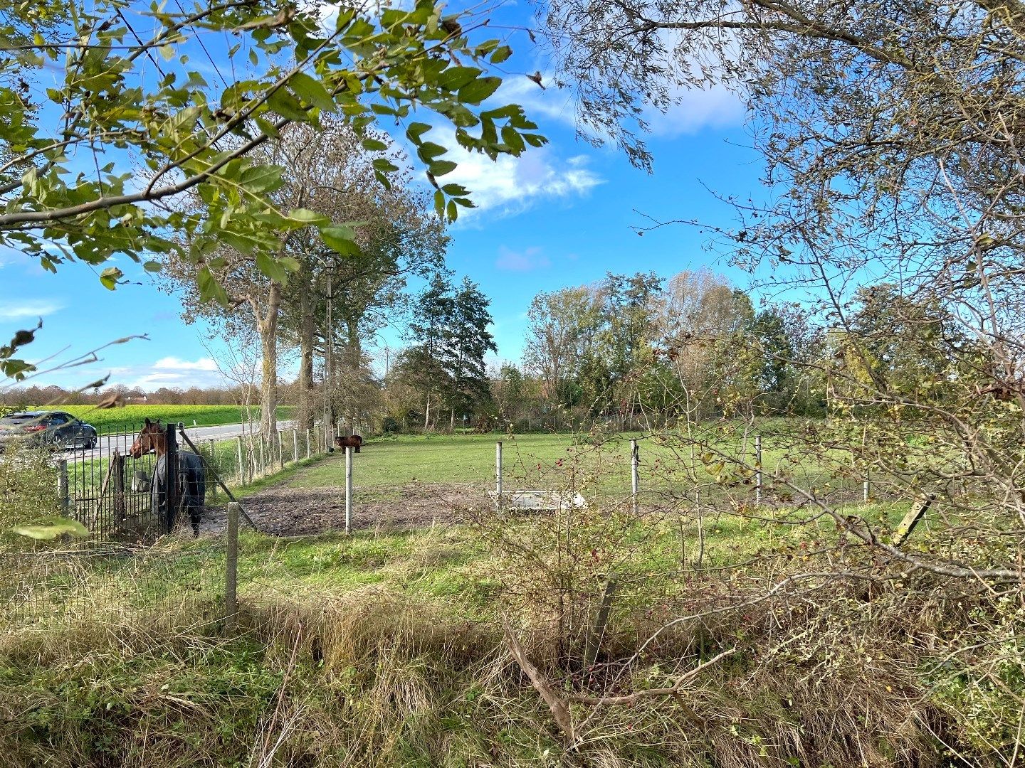 Grote woonst met drie entiteiten op 5408m2 te koop te Zwevegem! foto 10