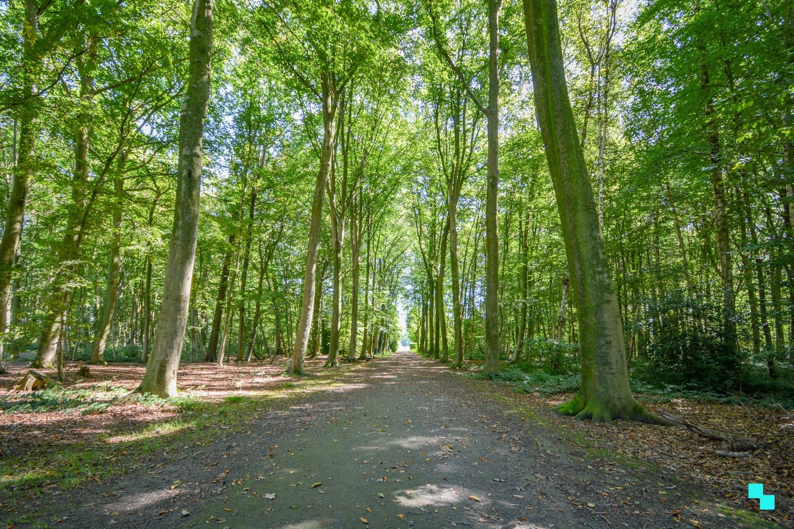 Exclusief gelegen bouwgrond aan Het Sterrebos te Rumbeke foto 13