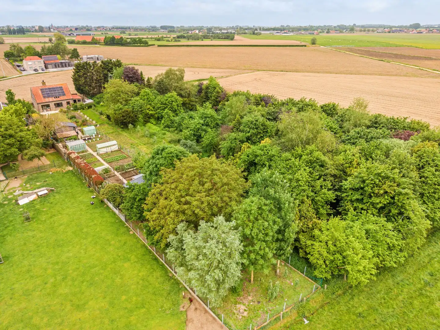 Zuidgericht perceel met prachtig landelijk verzicht op een rustige ligging in Ledegem foto 2