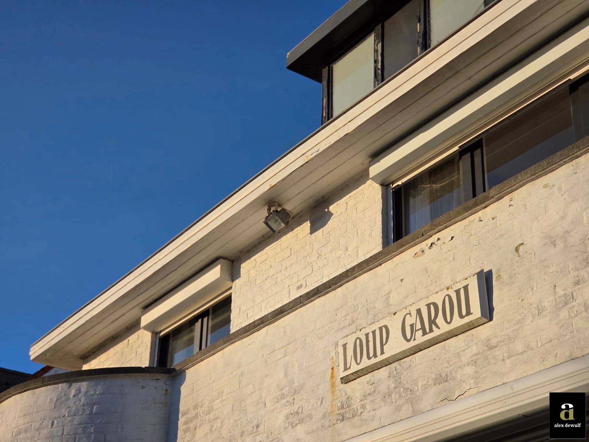 Modernistische villa met directe toegang tot het Zegemeer. foto 2