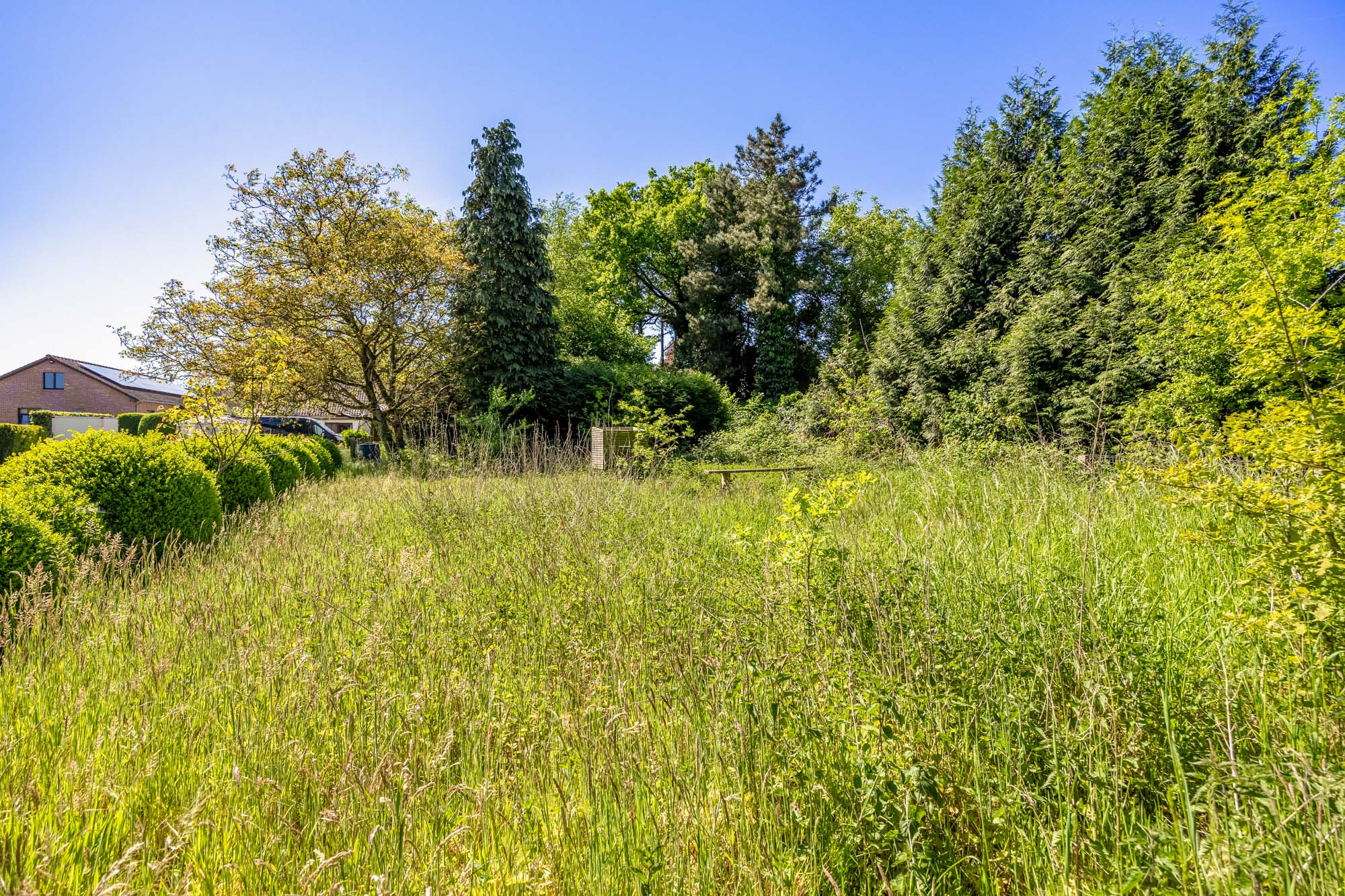 Huis te koop foto 15