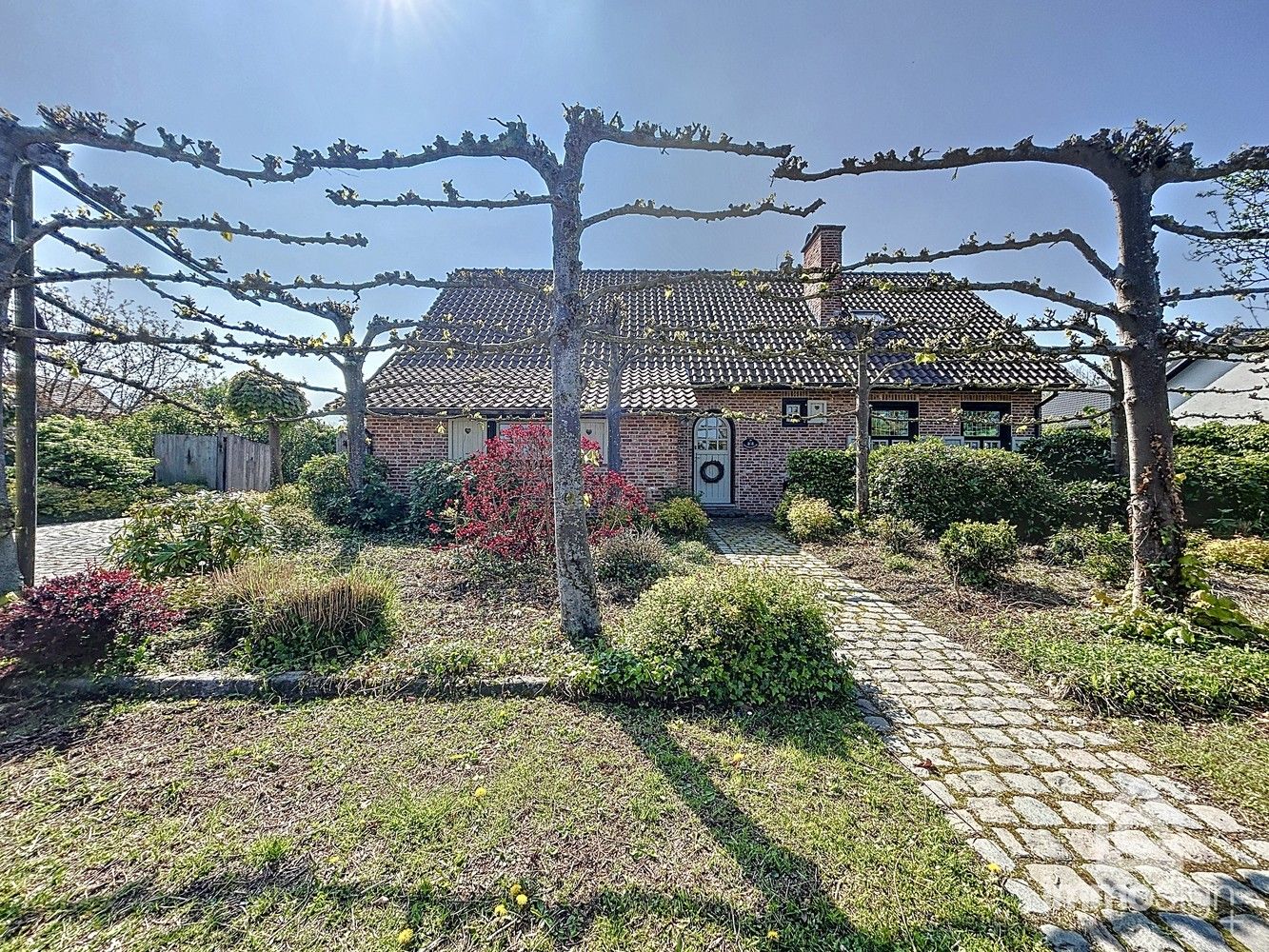 ()=>{if(producerUpdateValueVersion(node),producerAccessed(node),node.value===ERRORED)throw node.error;return node.value} Lechtenstraat 19 - 3950 Bocholt