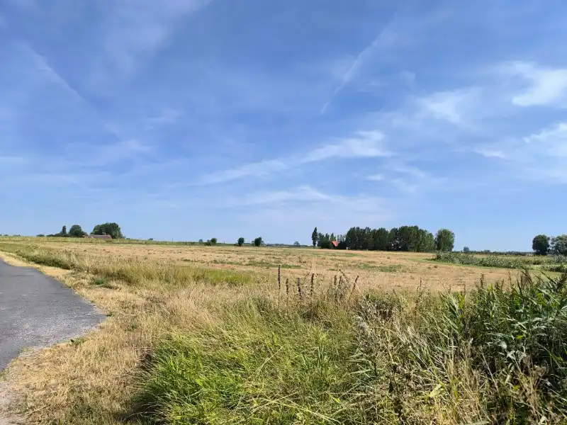 Landbouwgrond en weides foto 2