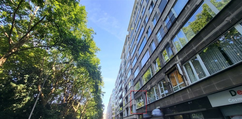 Ruim appartement | Stadspark foto 2