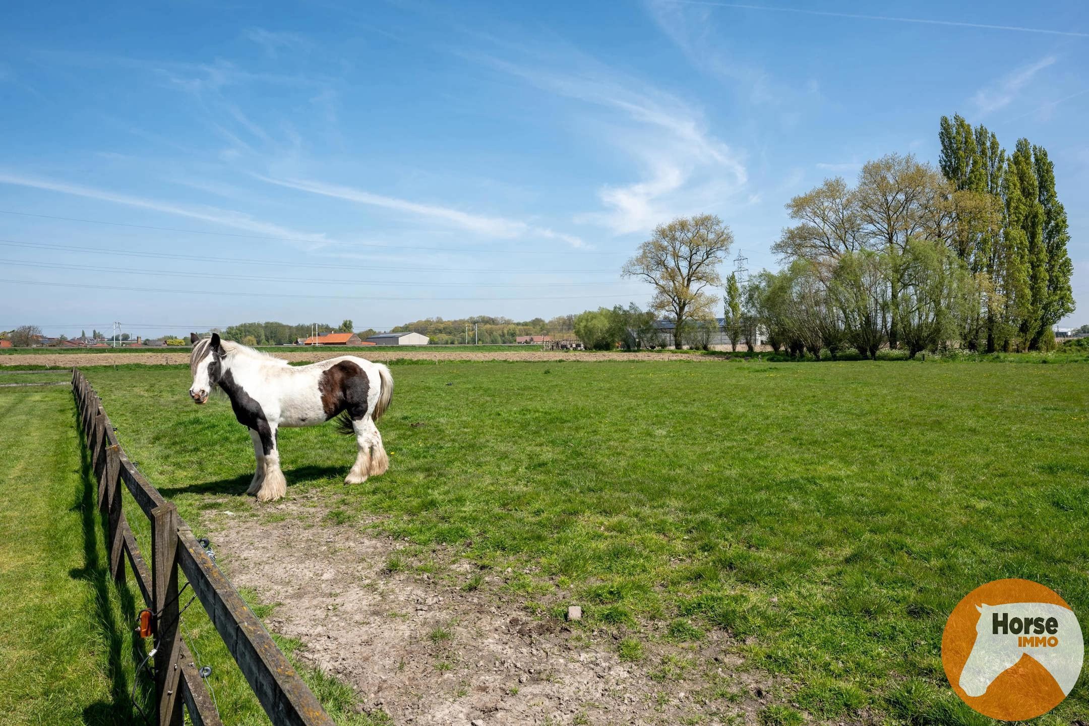 PITTEM - Landelijke Hoeve met Bijgebouwen op 1ha82a62ca foto 24