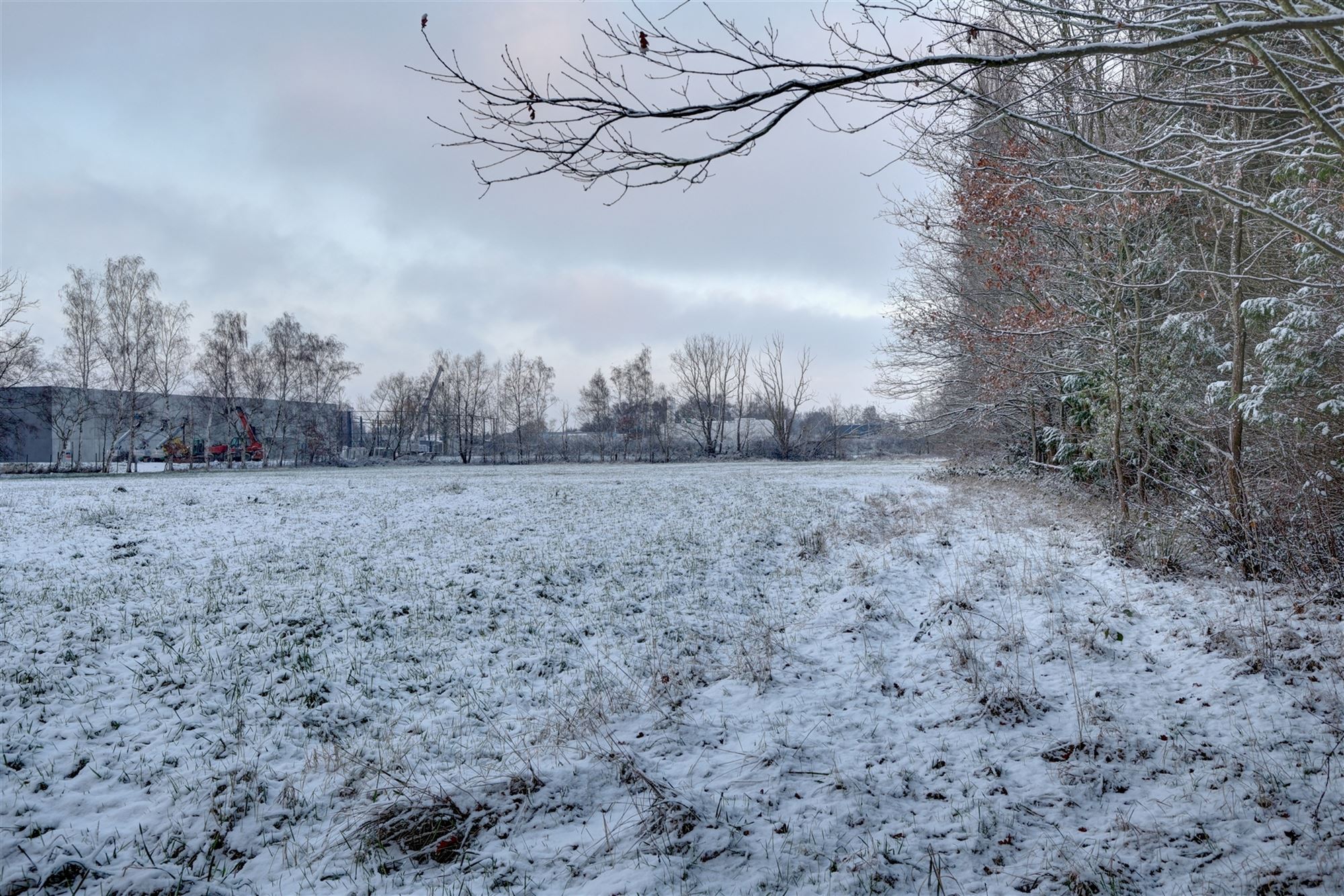 Idyllische paardenweide / bosgrond in Bonheiden foto 9