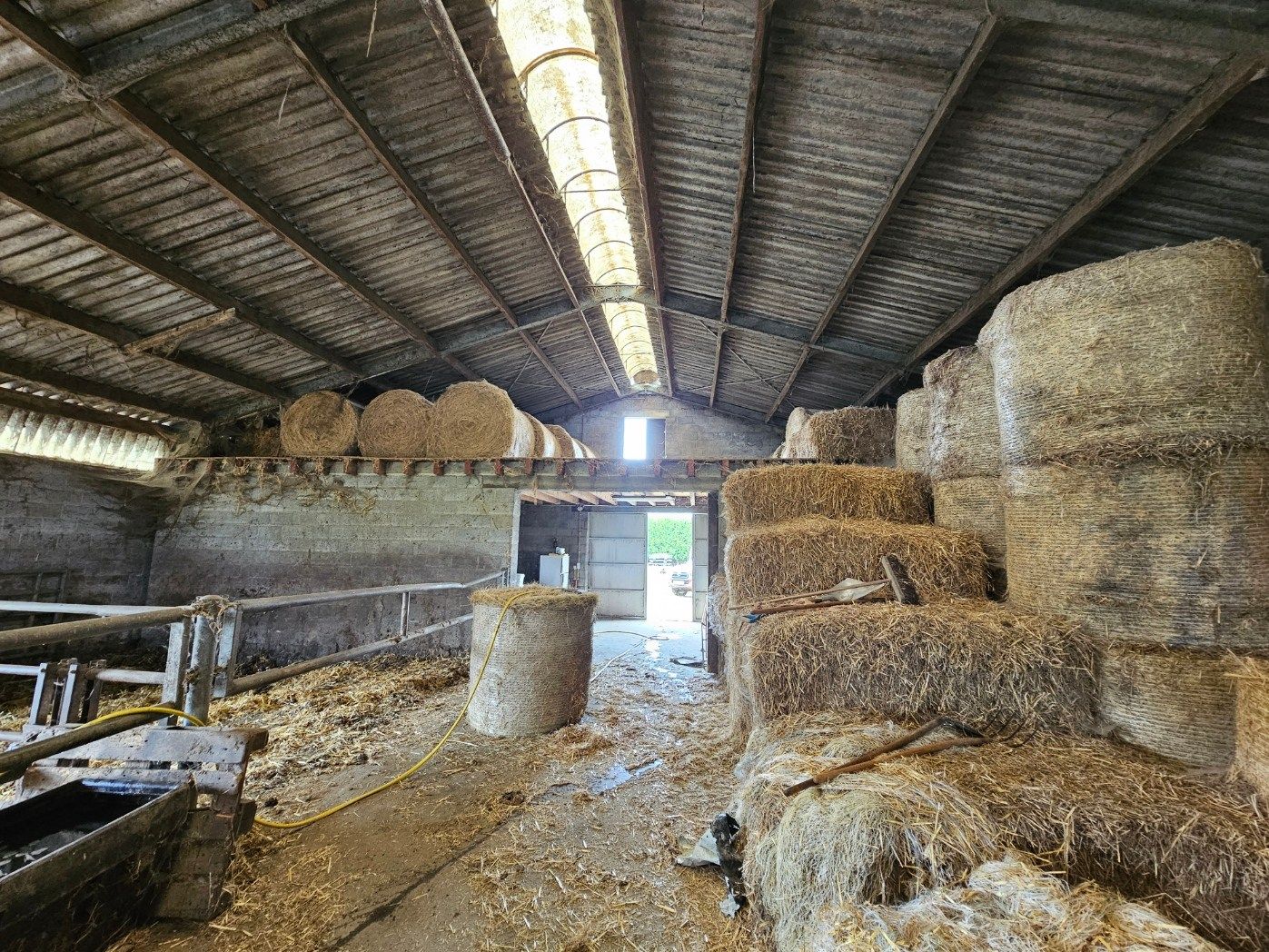  foto 18