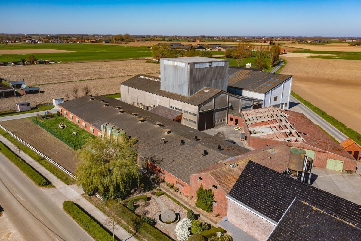 Hoeve met veevoederfabriek te koop te Poperinge (Watou) foto 6