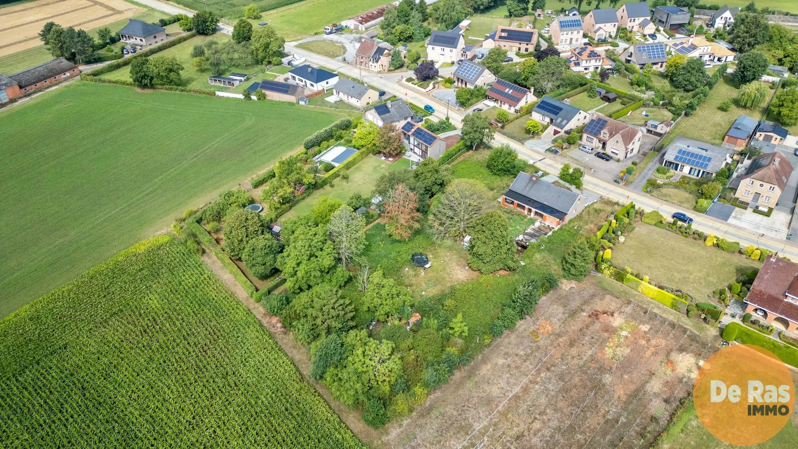 BEKKEVOORT - Prachtige zuidgerichte bouwgrond (7a 51ca)  foto 12