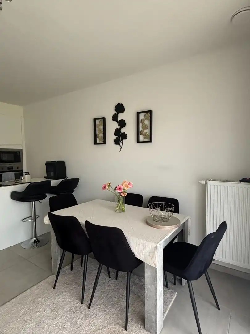 LICHTRIJK EN ENERGIEZUINIG 2-SLAAPKAMERAPPARTEMENT MET TWEE TERRASSEN EN PARKEERPLAATS foto 31
