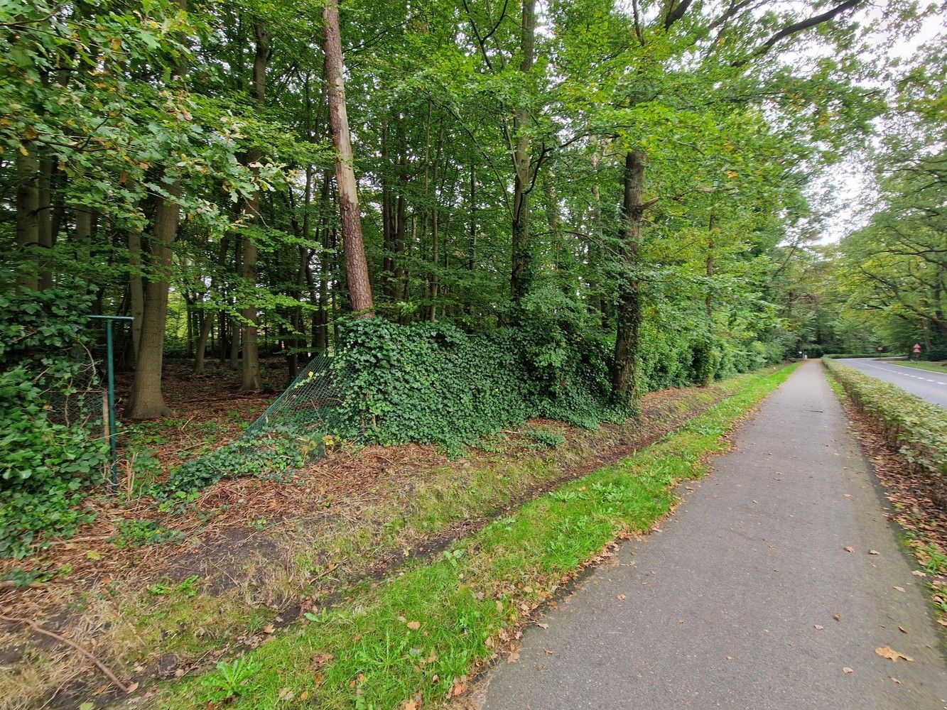 Bouwgrond (5.003 m²) voor een open bebouwing in Kapellen! foto 5