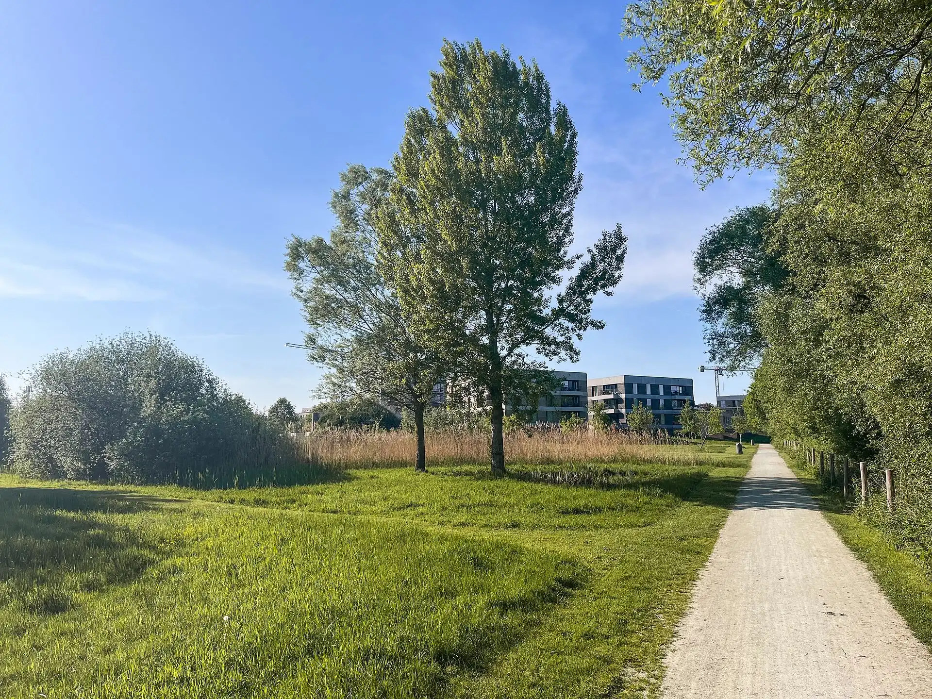 Modern BEN-appartement omringd door groen foto 20