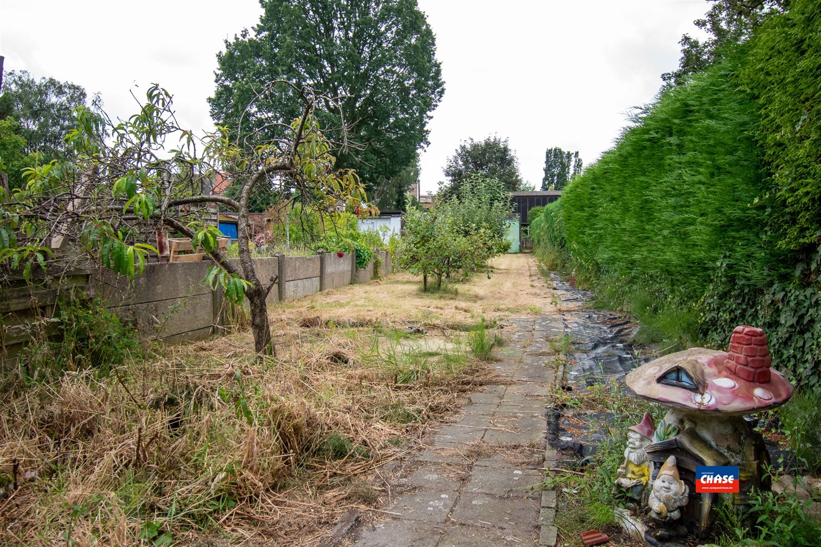 VERKOCHT ONDER VOORWAARDEN !!! Te renoveren woning met 2 slaapkamers en grote tuin foto 9