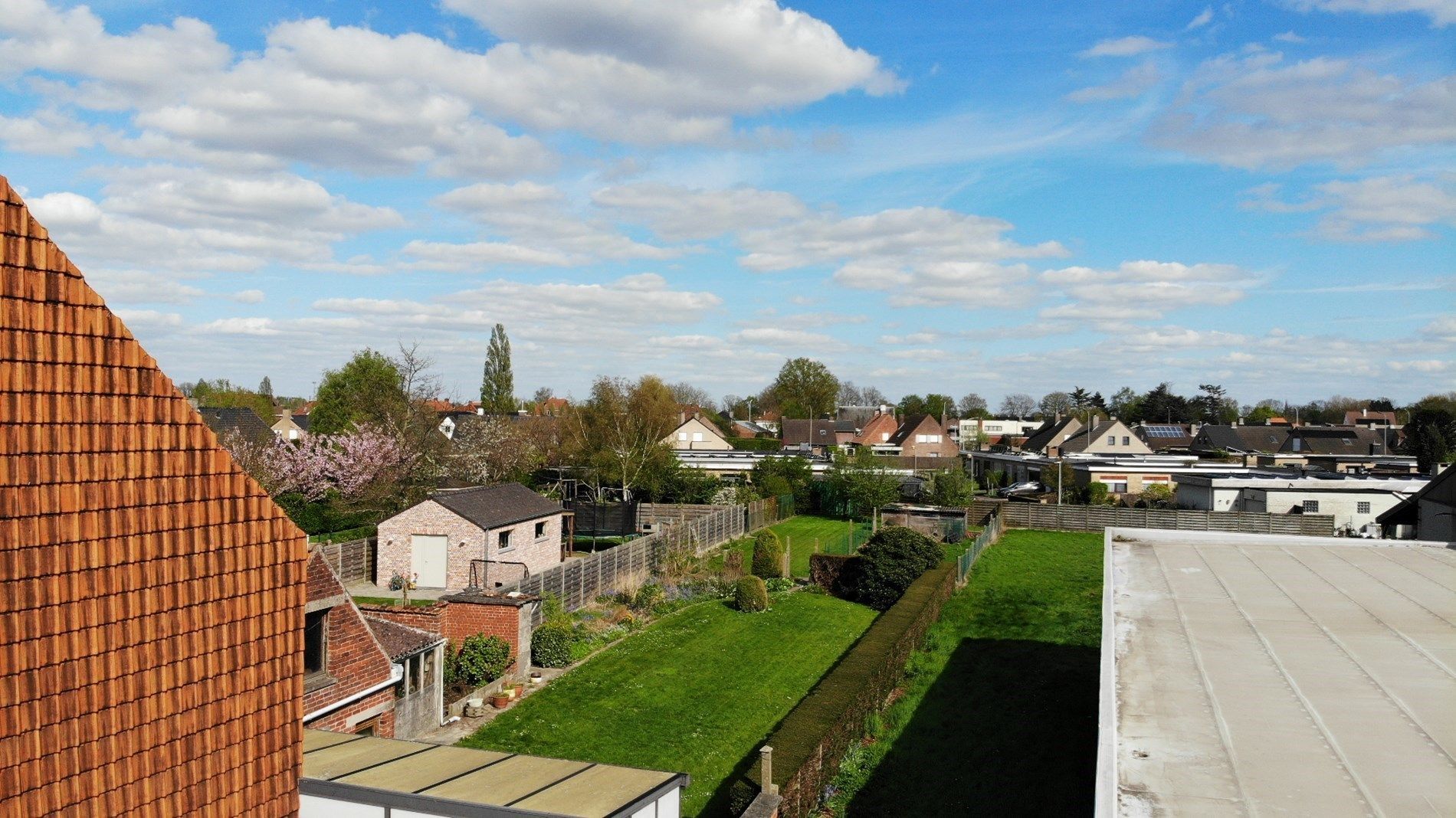 Halfopen woning te koop in Kuurne op 1090 m²!  foto 6