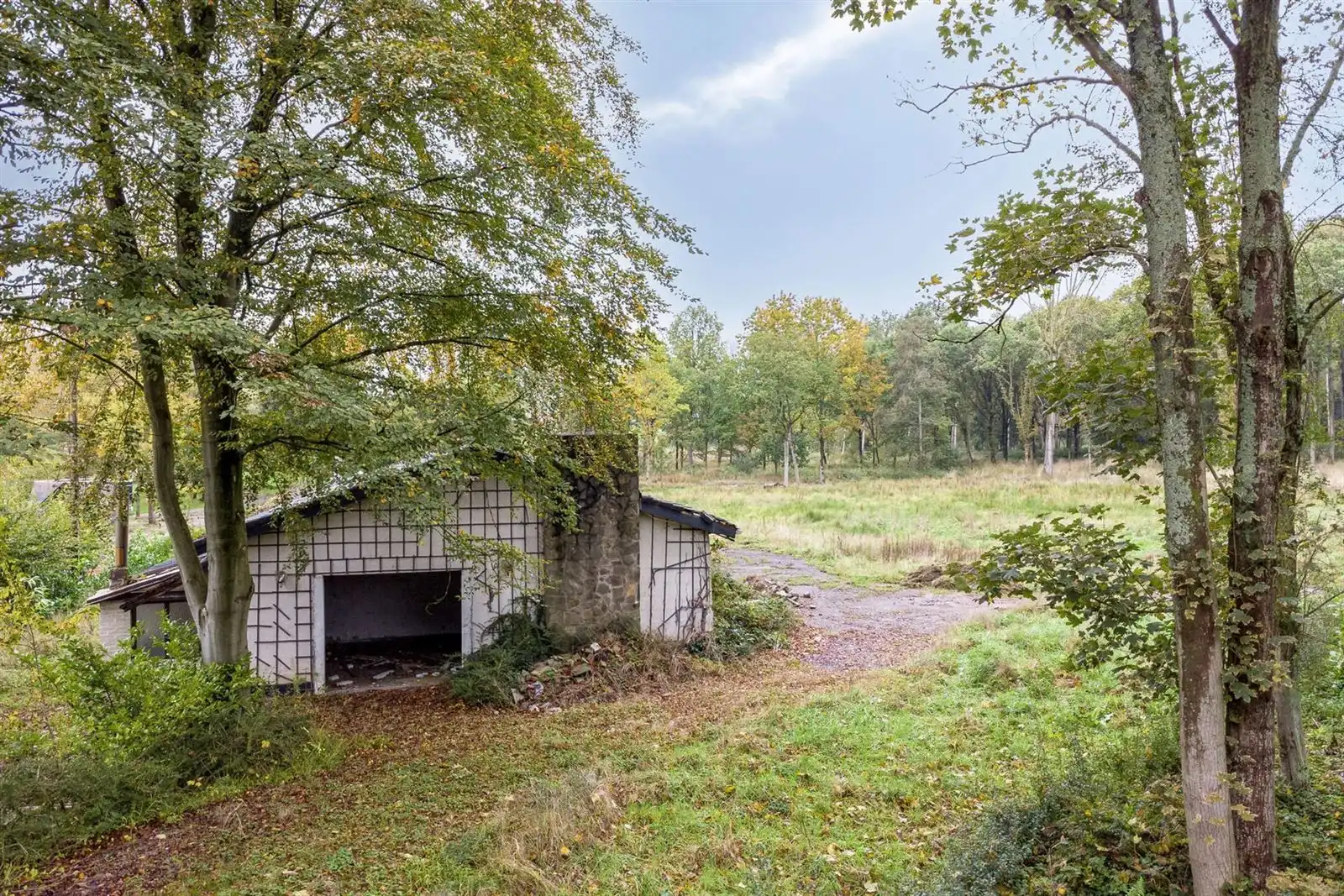 Bouwgrond in unieke groene omgeving in Asse  foto 7
