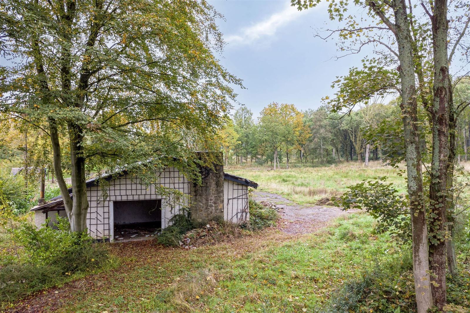 Bouwgrond in unieke groene omgeving in Asse  foto 7