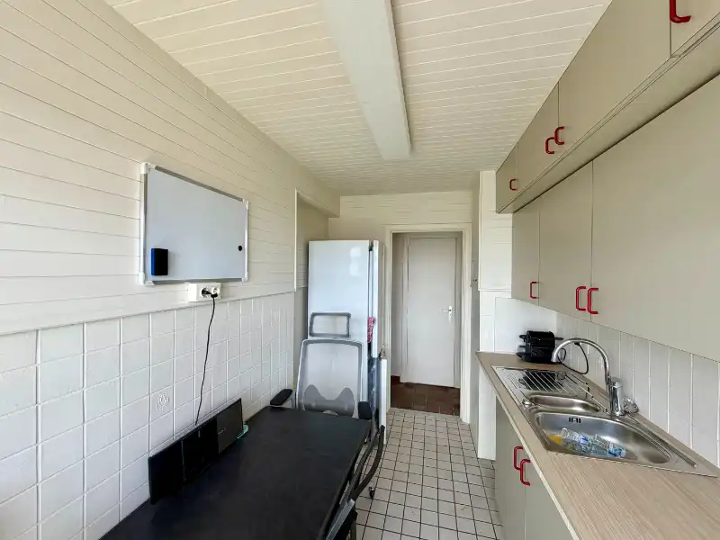 RUIM EN LICHTRIJK APPARTEMENT MET ZONNIG TERRAS EN UNIEK UITZICHT OVER GENT foto 5