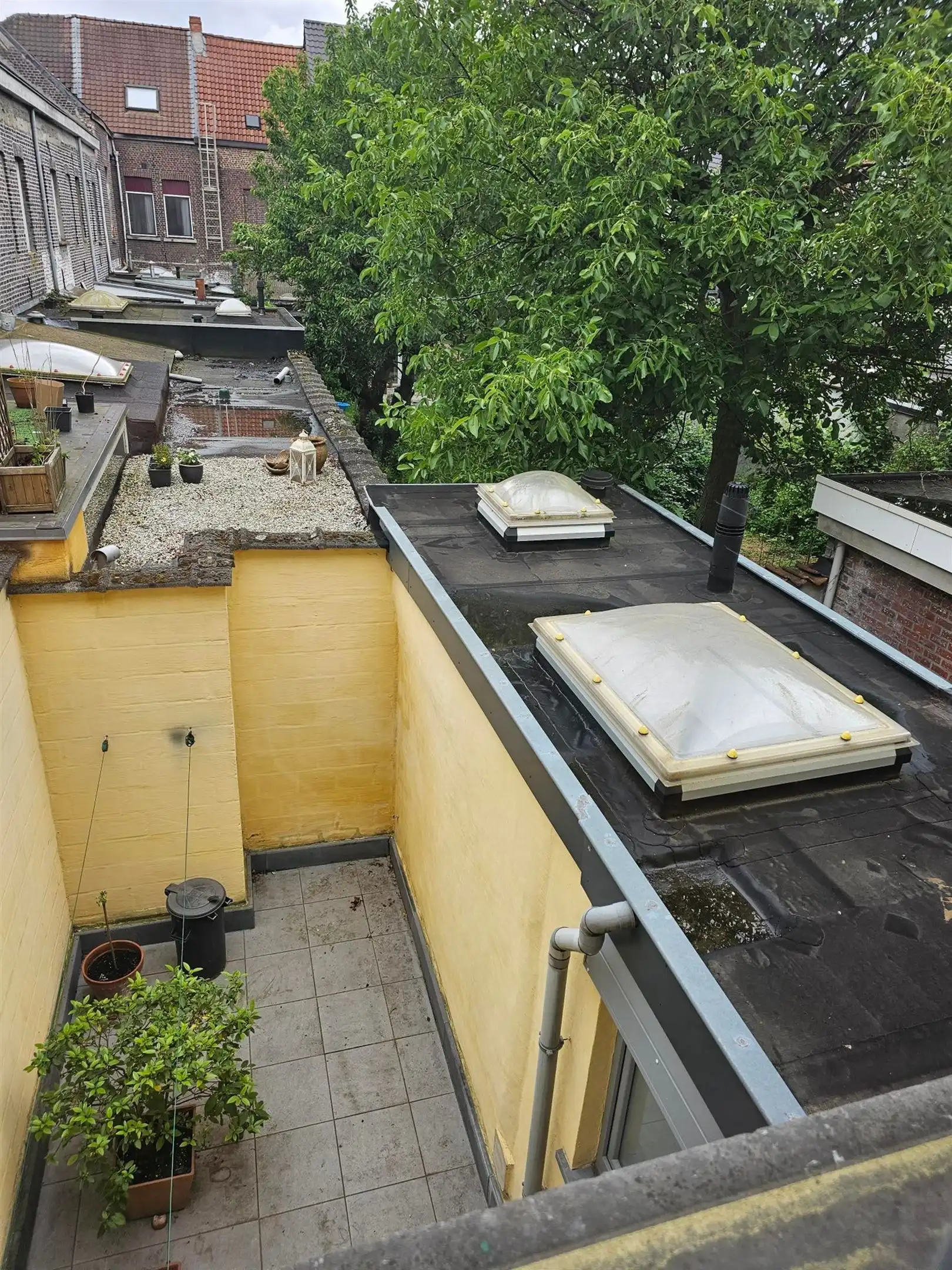 Rustig gelegen starters -of investeringswoning met zonnige koer en 3 slaapkamers. foto 17