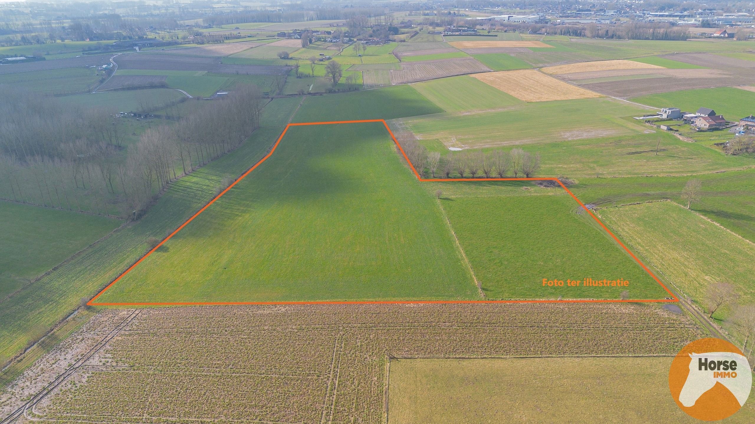HILLEGEM – Landbouwgronden te koop foto 2