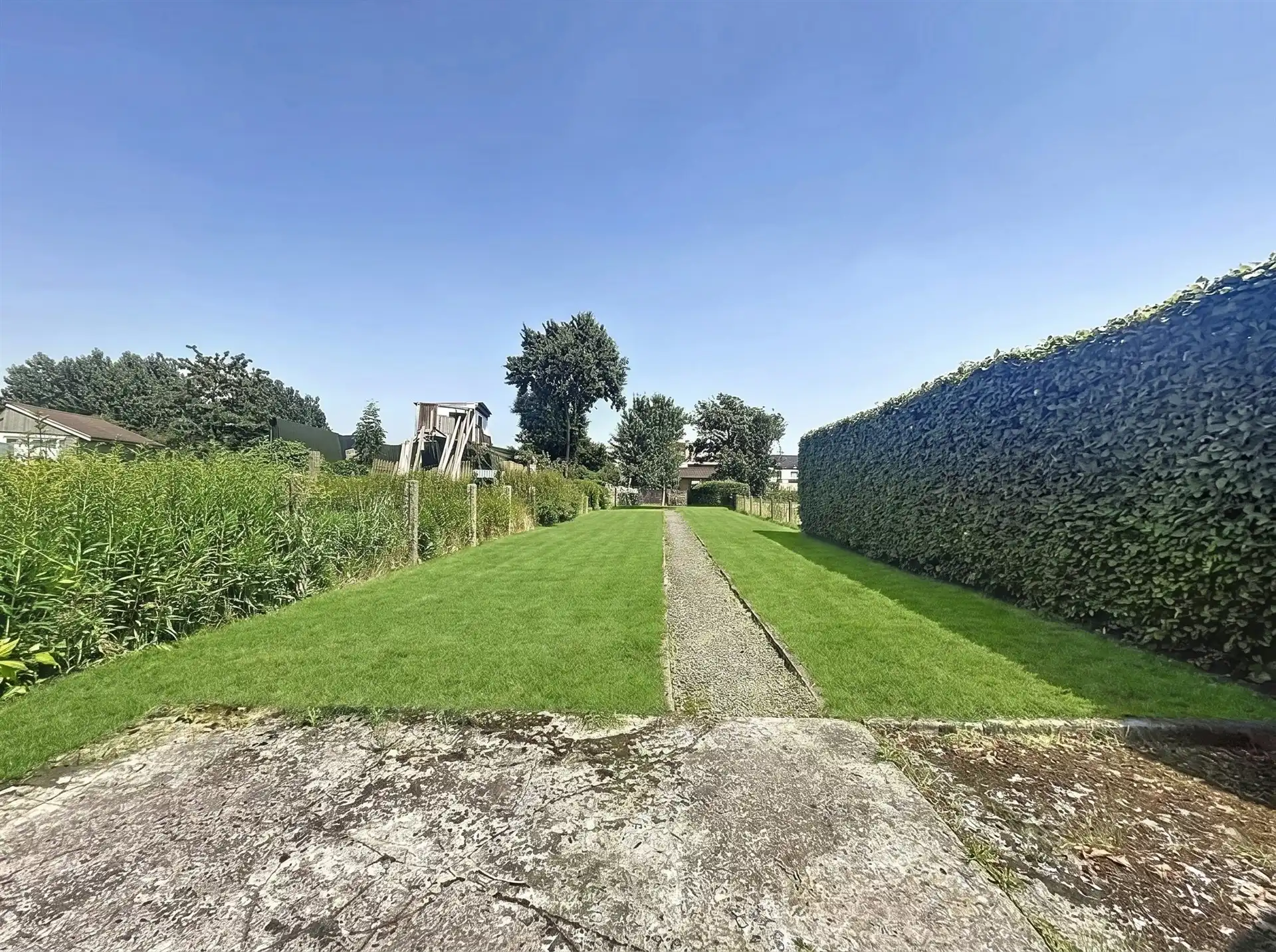 Leuke woning met veel potentieel, garage en tuin in het centrum van Beveren! foto 3