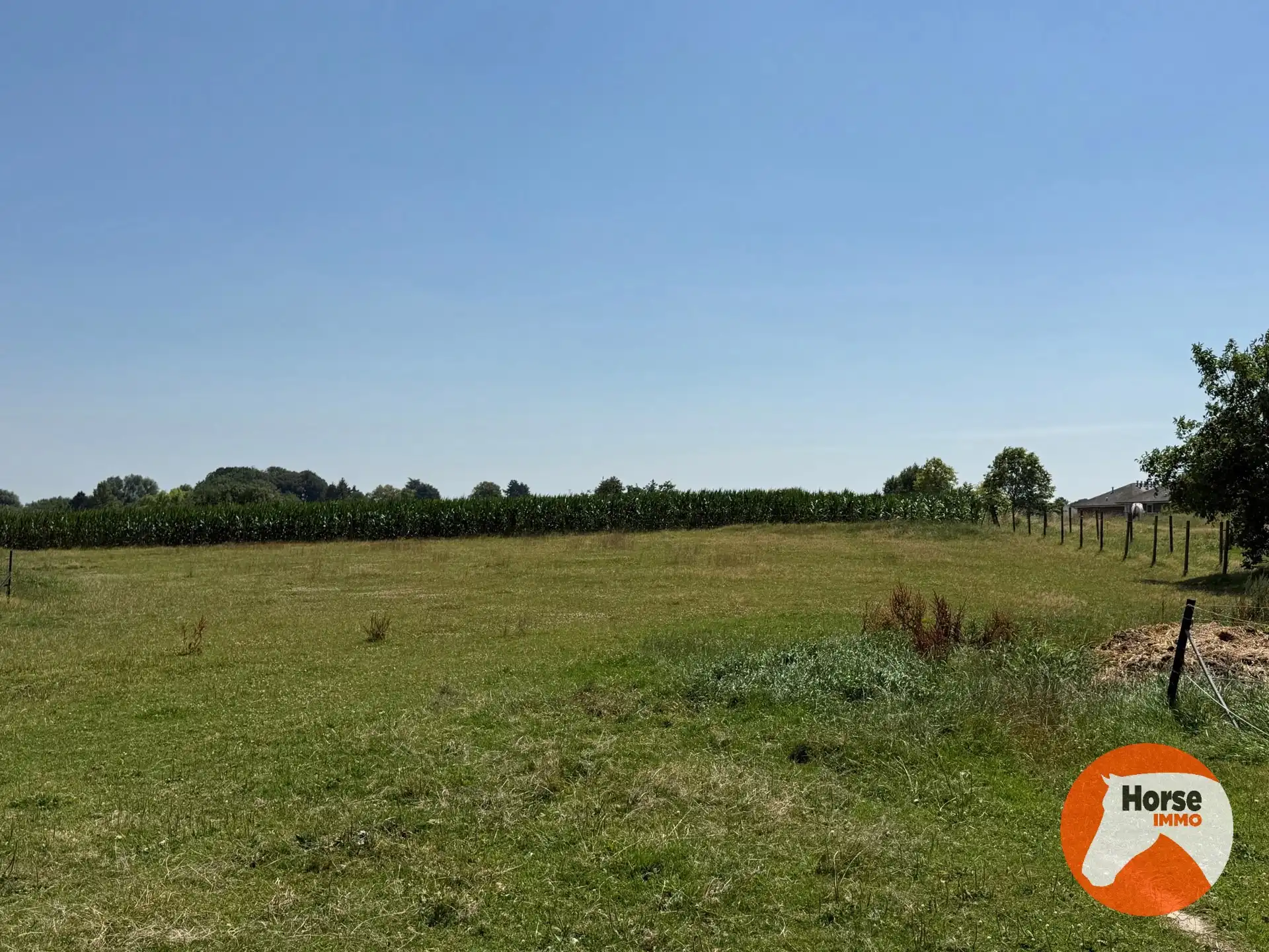 ASSE - Paardenaccommodatie op 1,07ha met 3 vergunde stallen foto 10