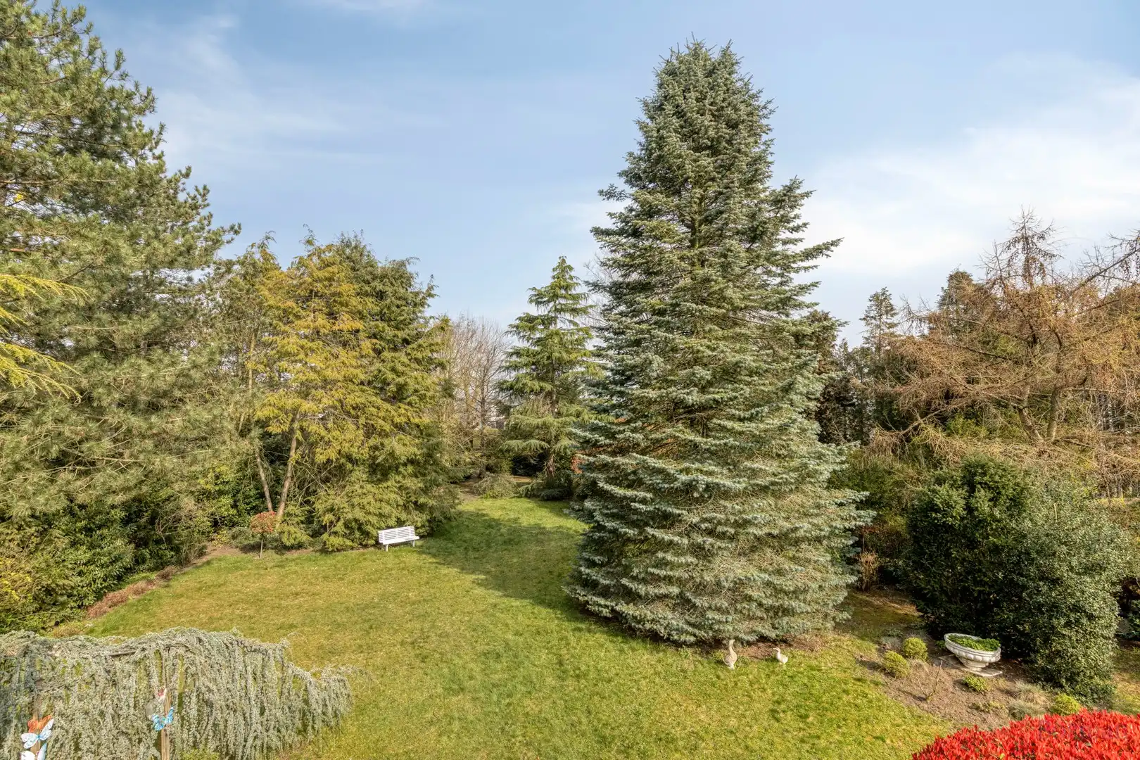 Projectgrond met woning te koop in Schoot, Tessenderlo foto 14