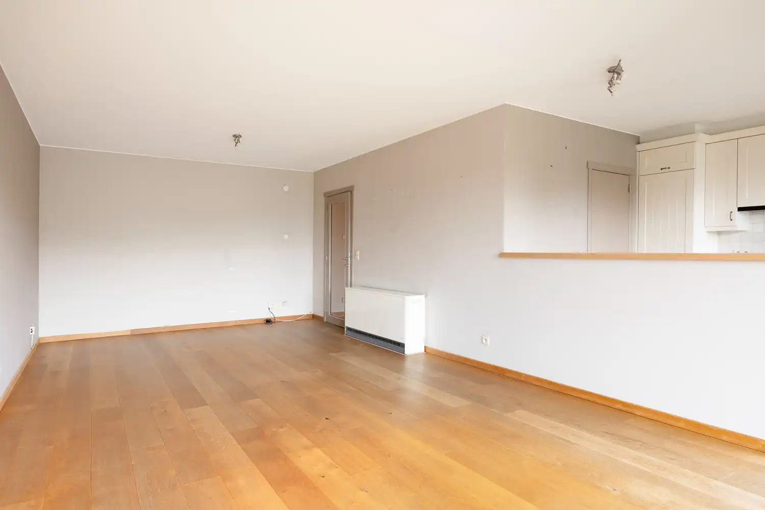 Ruim en lichtrijk appartement met twee terrassen en uitzicht op het Vijverpark aan de rand van Anderlecht 🌿 foto 5