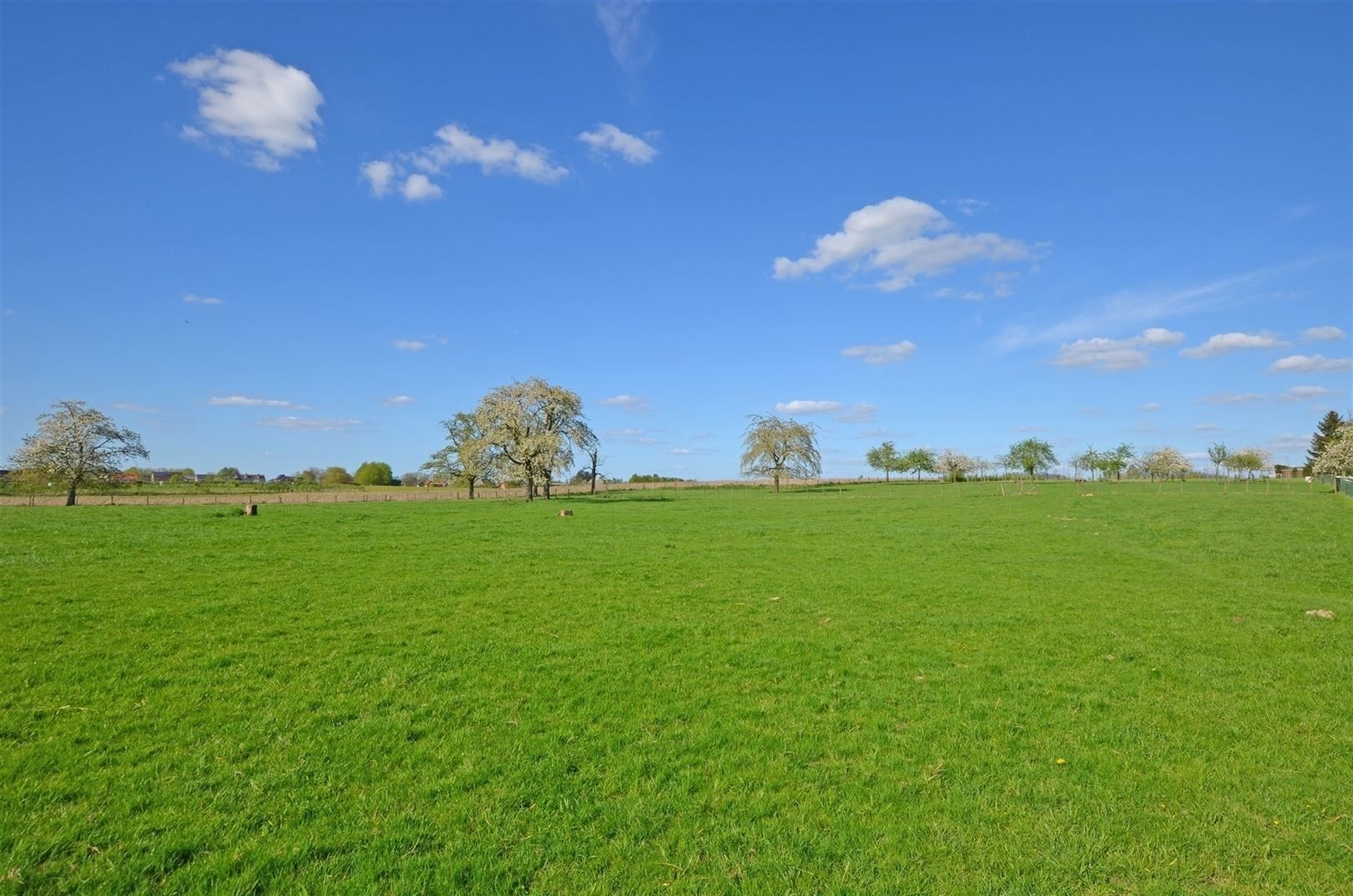 Landelijk gelegen vierkantshoeve op ±1.4Ha foto 34