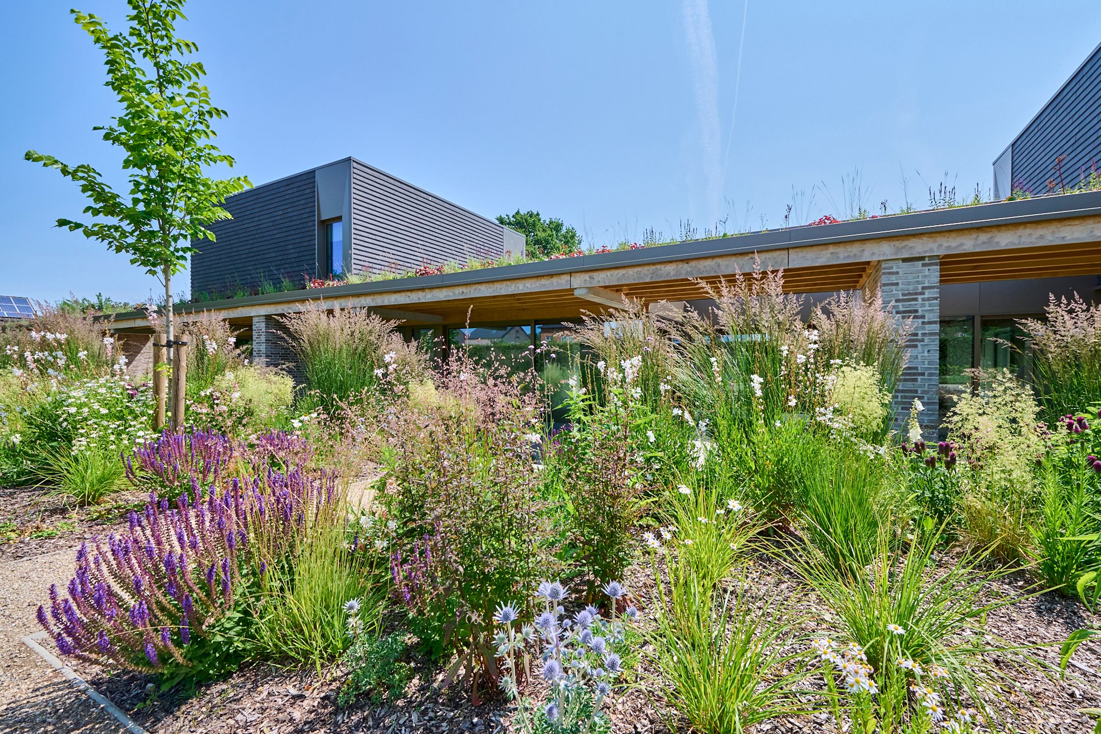 EXCLUSIEVE TUINLOFT GROOT TERRAS MET E-PEIL 0! foto 9