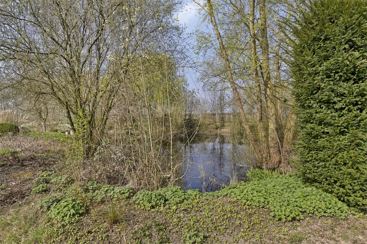 Camping Leeuwerikenveld - een oase van rust in het Hageland! foto 9