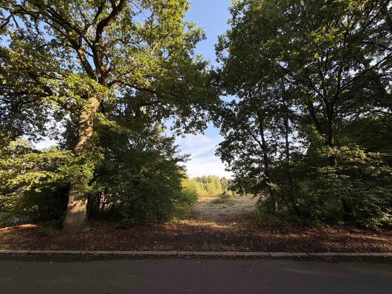 Genk, Kneippstraat 28: Ruime en uitstekend gelegen bouwgrond van 10a 81ca in een natuurrijke omgeving. foto {{pictureIndex}}