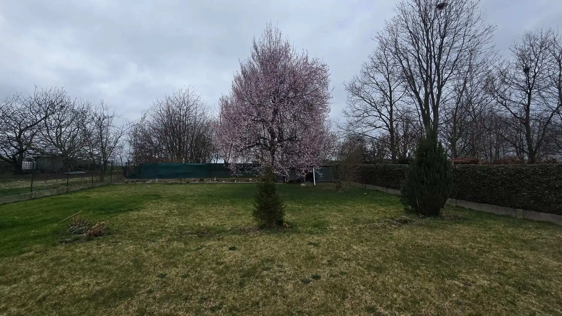 Huis foto 63