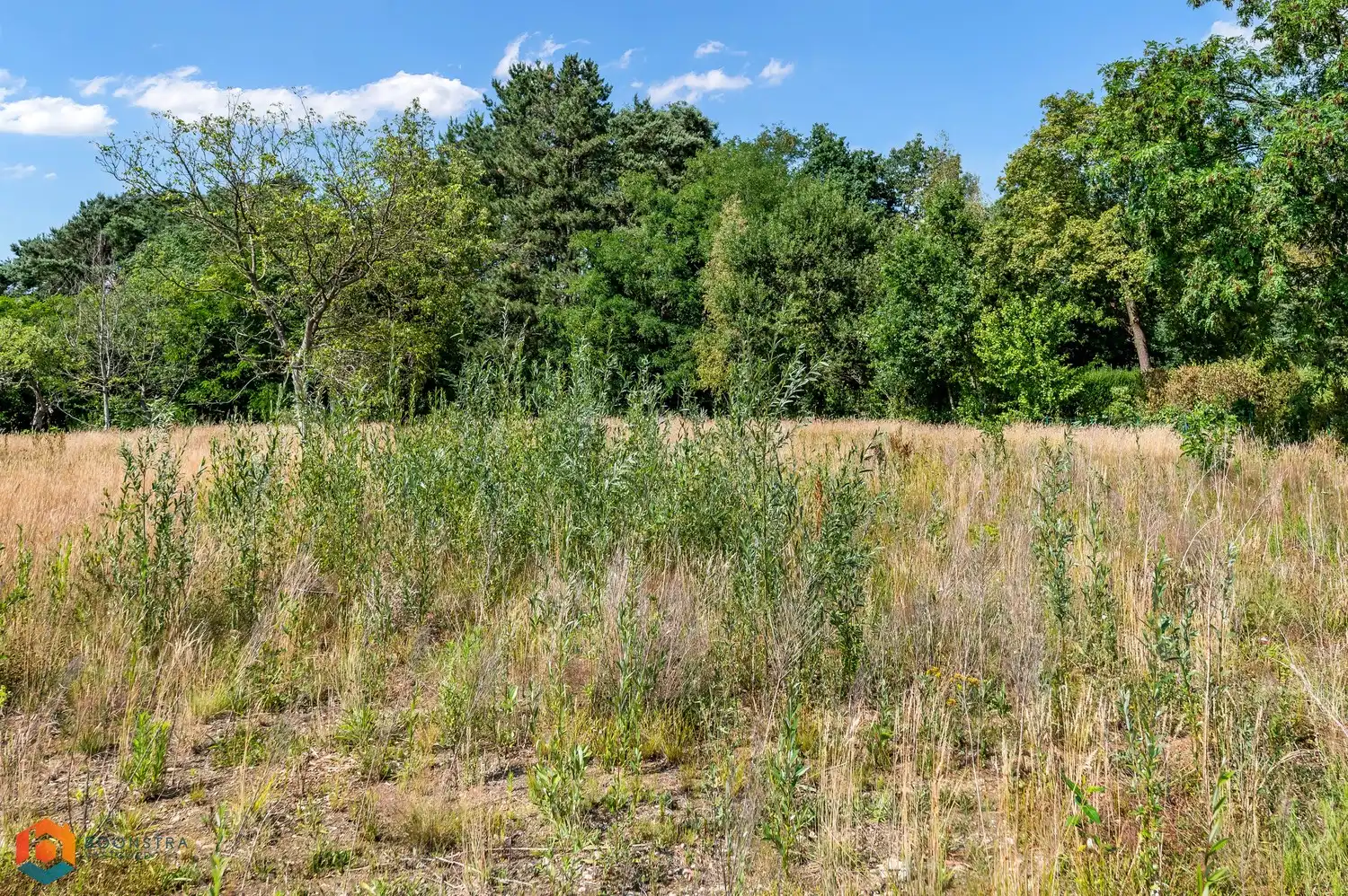 Bouwgrond van 1070 m² voor open bebouwing te Tessenderlo-Ham foto 7