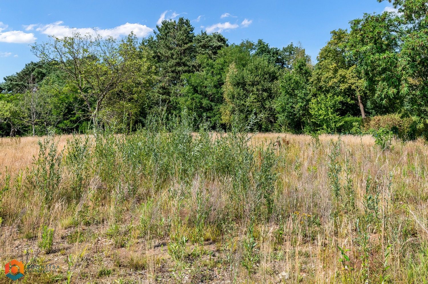 Bouwgrond van 1070 m² voor open bebouwing te Tessenderlo-Ham foto 7