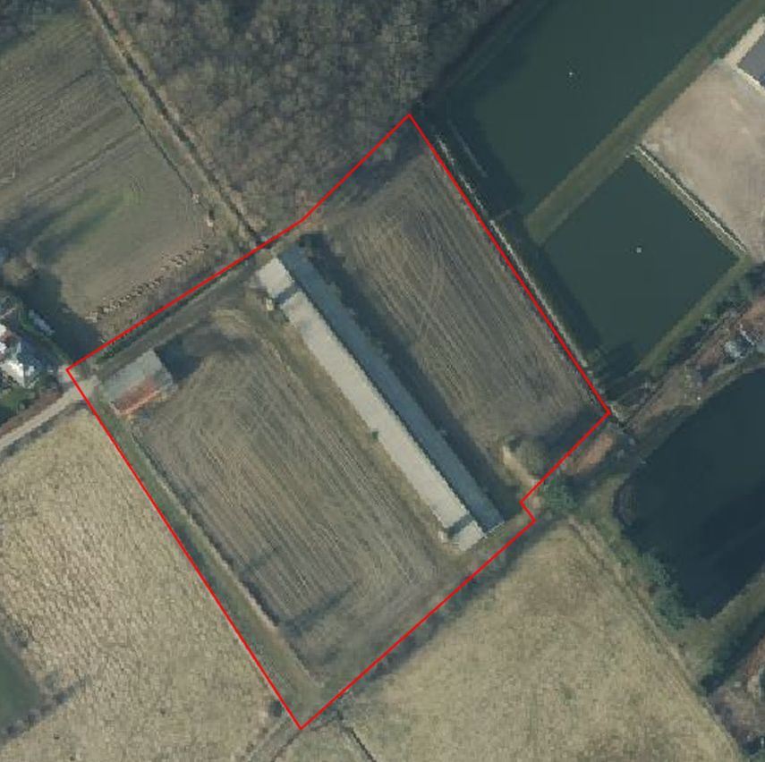 Stal met grond te koop te Begijnendijk foto {{pictureIndex}}