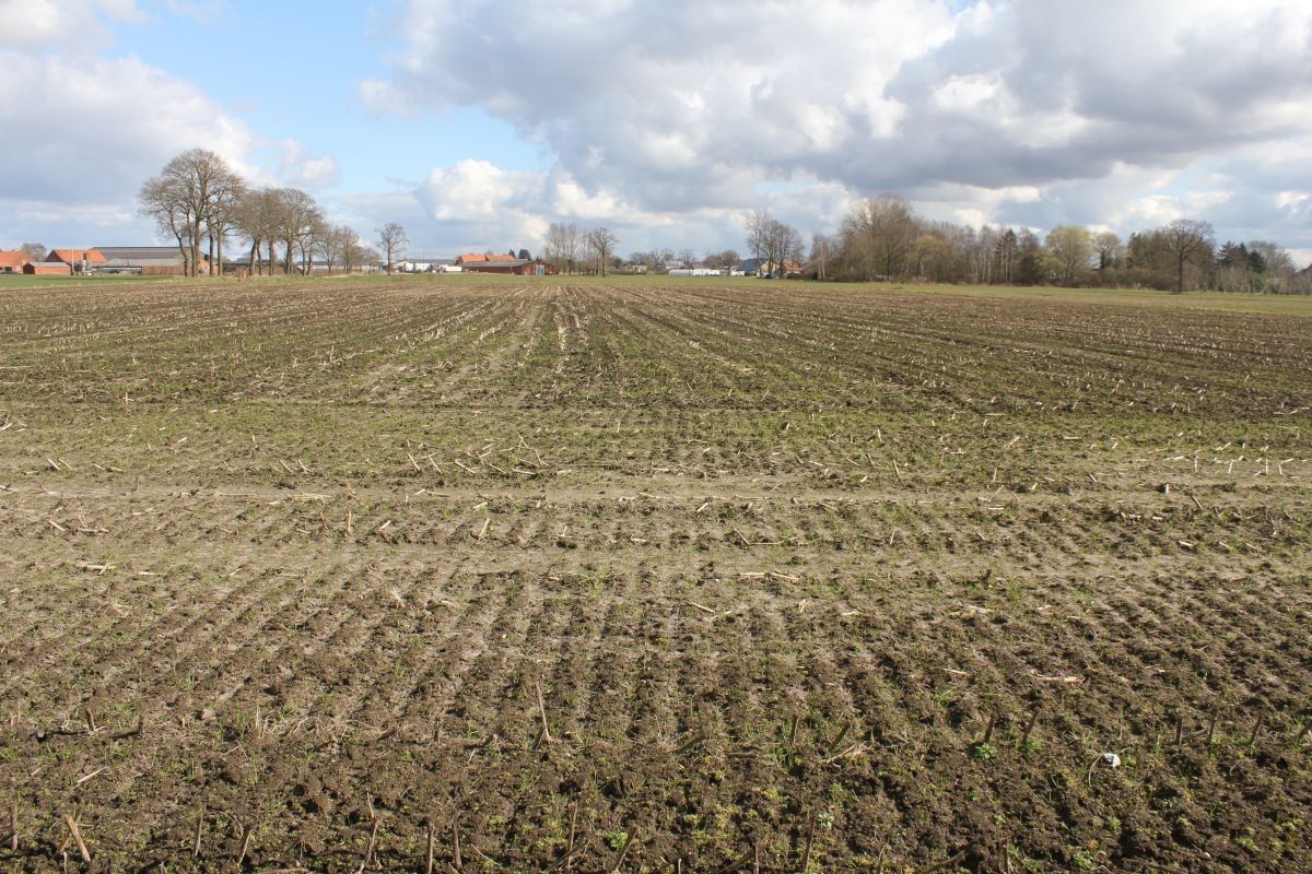 Hoeve met stallen en landbouwgrond te koop te Weelde foto 13