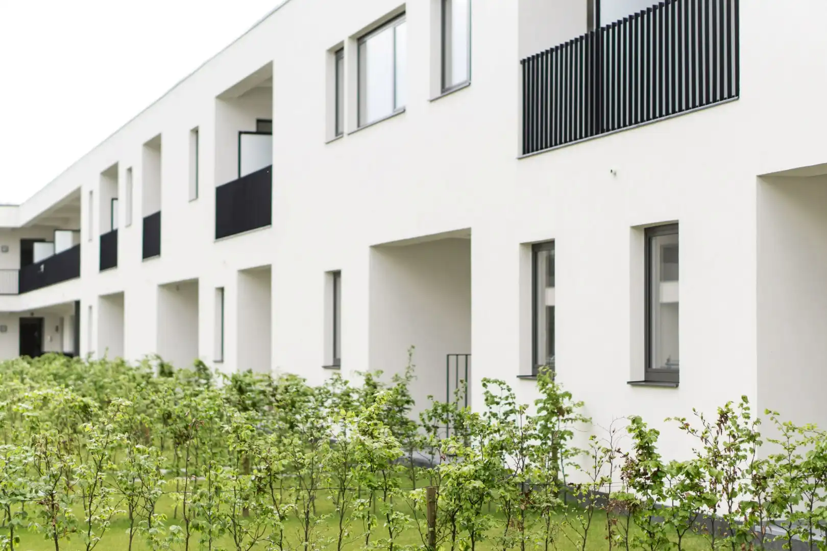 Appartement met veel groen! foto {{pictureIndex}}