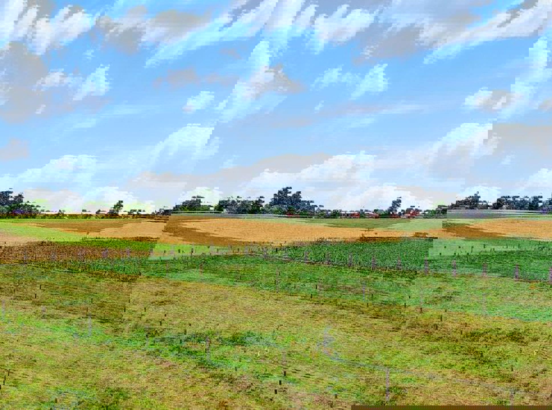 Instapklare woning met 2 slaapkamers en tuin foto 20