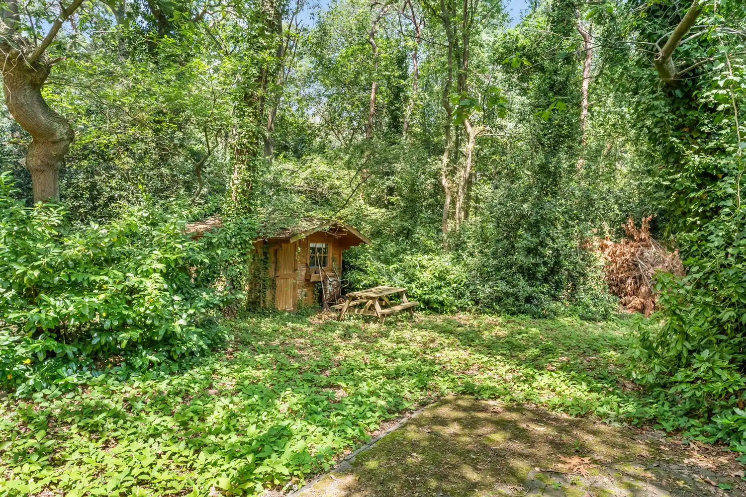 Unieke boswoning op een prachtig groen perceel van 1.454 m² foto 22
