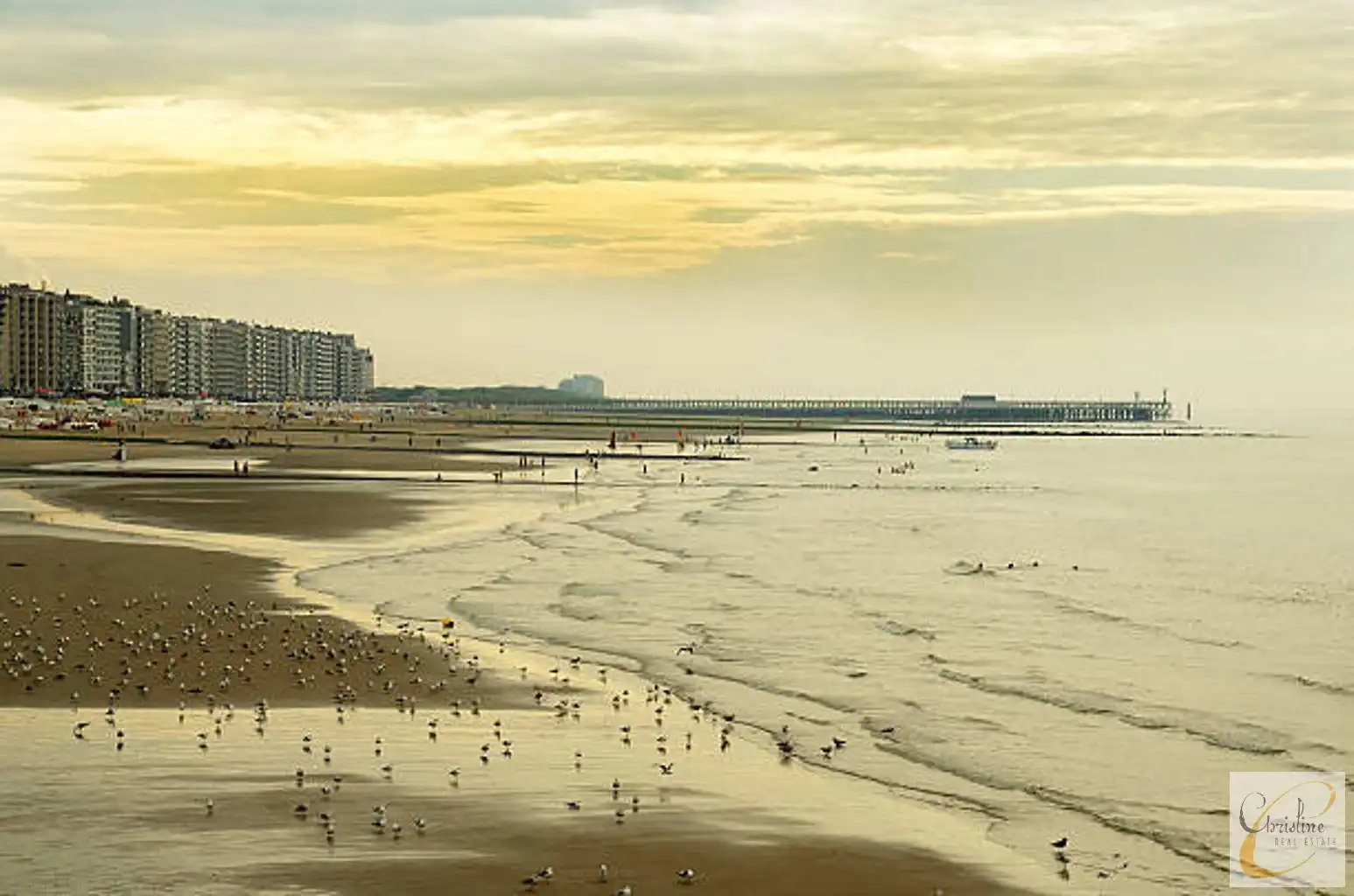 Karaktervol investeringspand op topligging in Blankenberge  foto 9