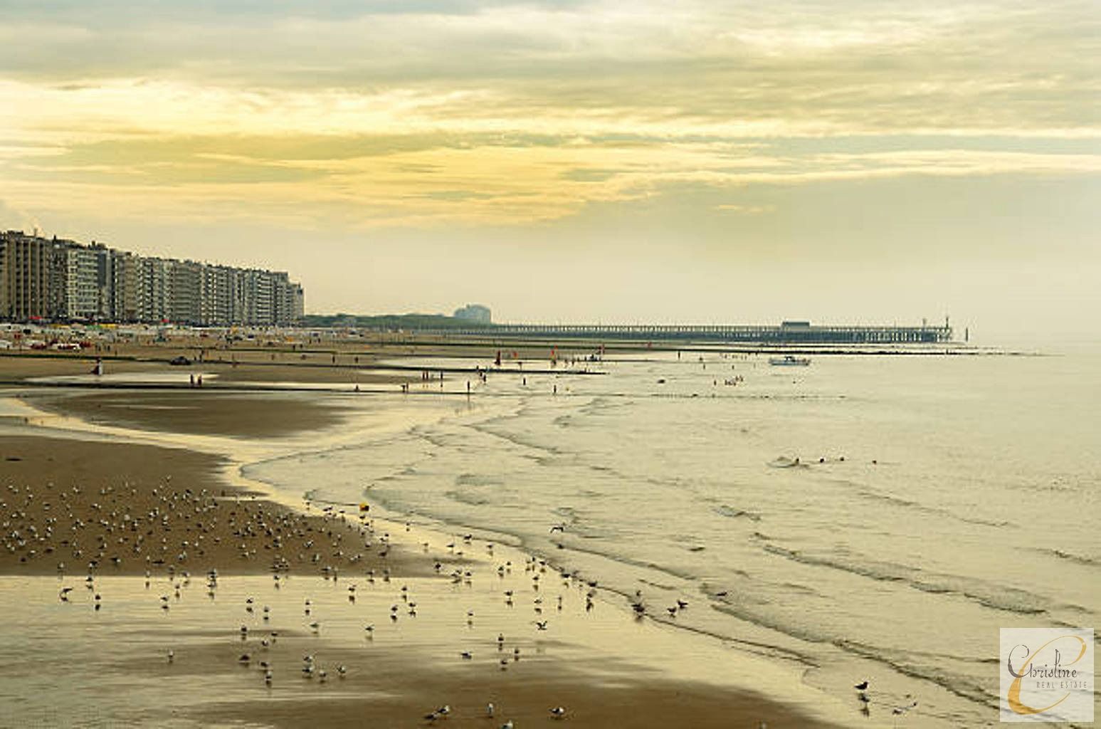 Karaktervol investeringspand op topligging in Blankenberge  foto 9