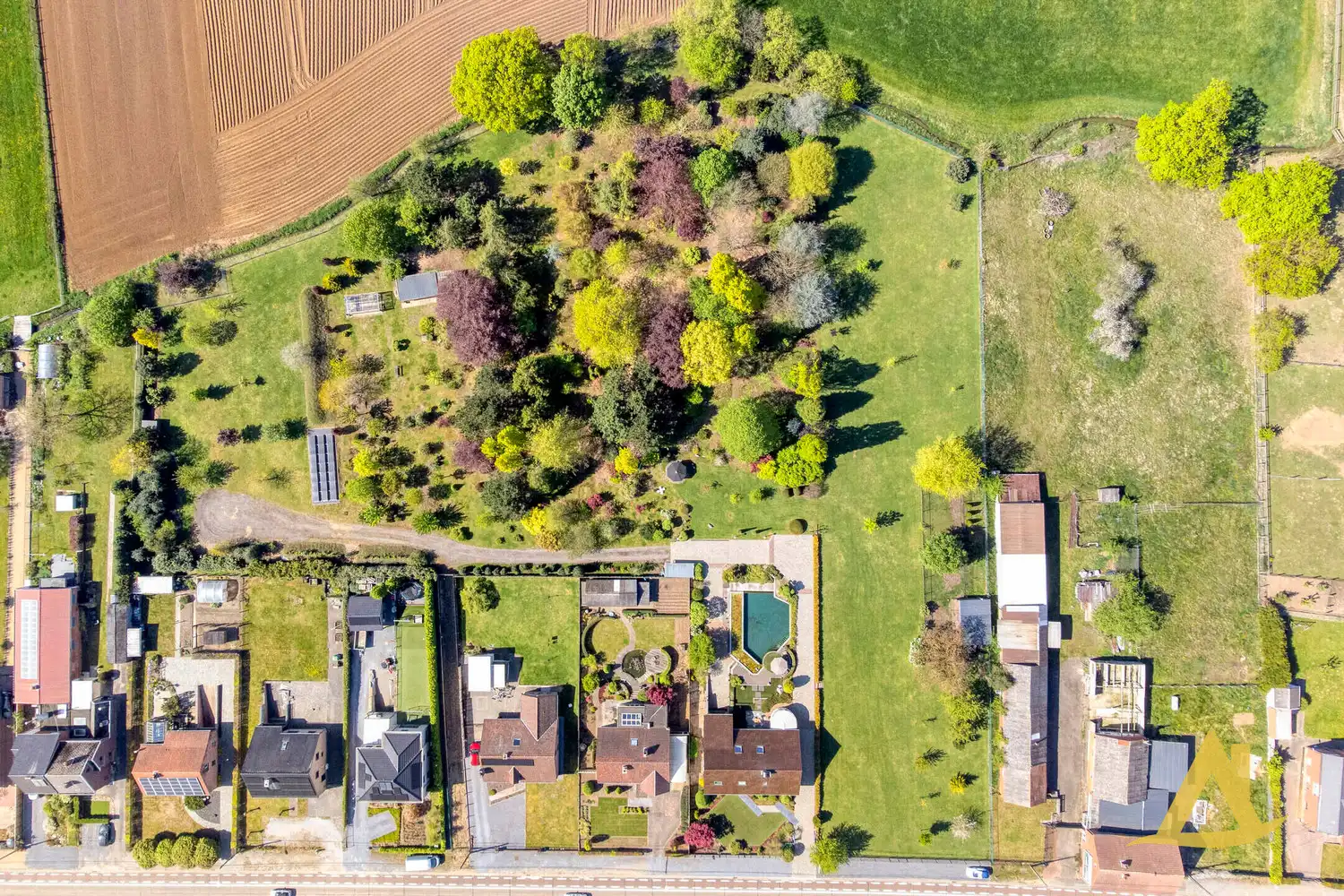 EXCLUSIEVE VILLA MET PARKTUIN EN ZWEMVIJVER OP EEN PERCEEL VAN 1HA 5A 16CA! foto 2