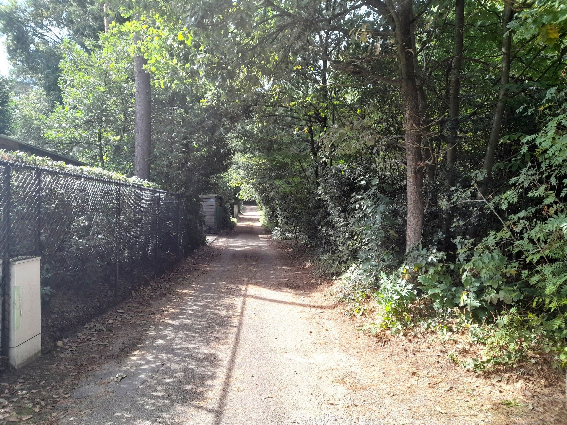 Wordt deze mooie bungalow jouw zomerverblijf in 2026? foto 3