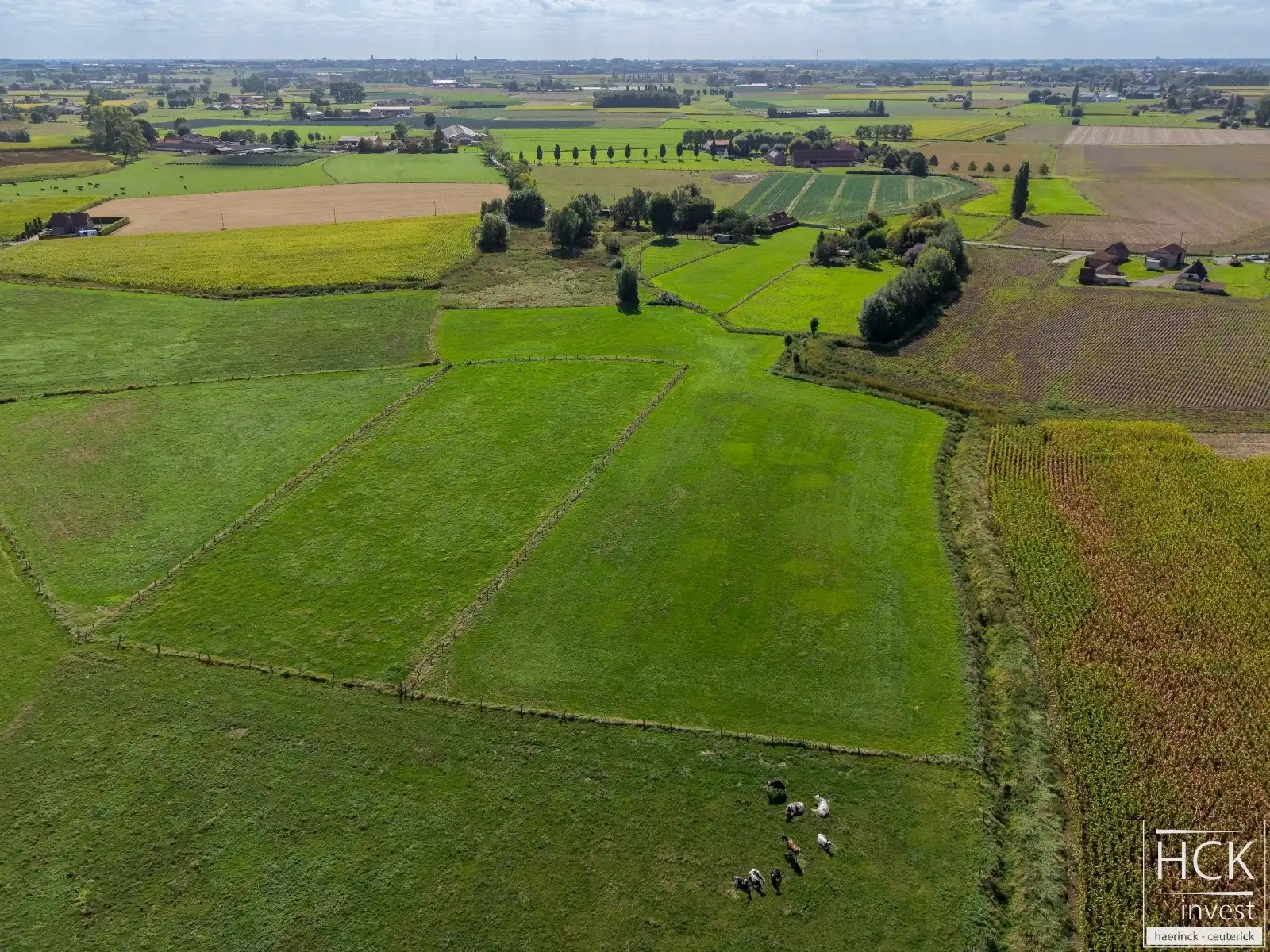 RUISELEDE - Twee percelen landbouwgrond, geheel van 12.880 m² groot foto 5