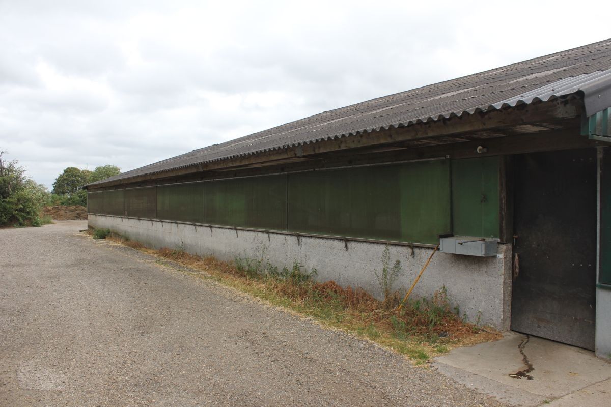 Melkveebedrijf met 38,70 ha grond te koop te Bocholt foto 12