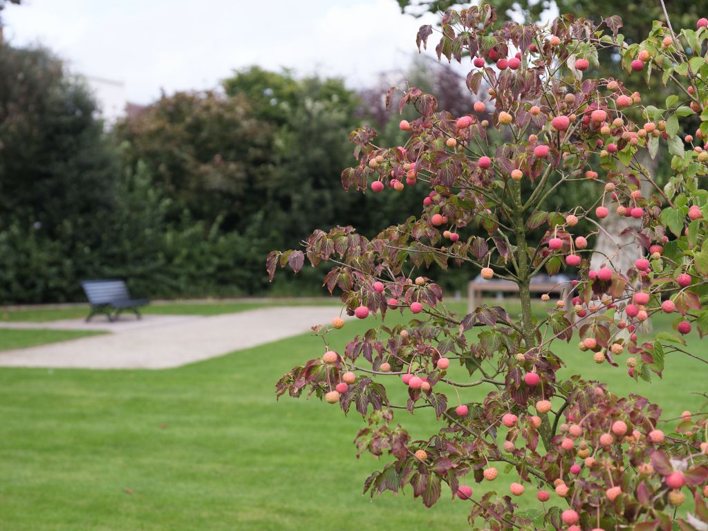 Assistentiewoning met 2 slpk, terras en zicht op parktuin nabij het station Gent-Sint-Pieters foto 13